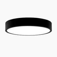 Simplistic round LED ceiling light