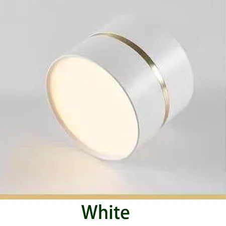 plafonnier-led-surface-mont-downlight-rond-projecteurs-cob-7.png