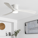 Modern ceiling light with remote control fan and integrated LED