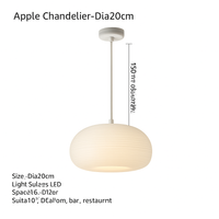 Modern minimalist eco-friendly ceiling light for interior decor