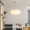 Modern minimalist eco-friendly ceiling light for interior decor