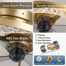 Decorative dimmable ceiling fan light with remote control