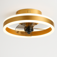 Decorative dimmable ceiling fan light with remote control