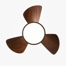 Remote control ceiling fan light for children's room