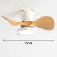 Remote control ceiling fan light for children's room