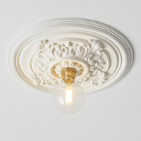 plafonnier vintage français simple moderne avec éclairage sculpté