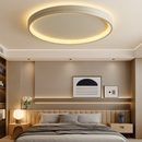 Modern minimalist nordic luxury round creative ceiling light