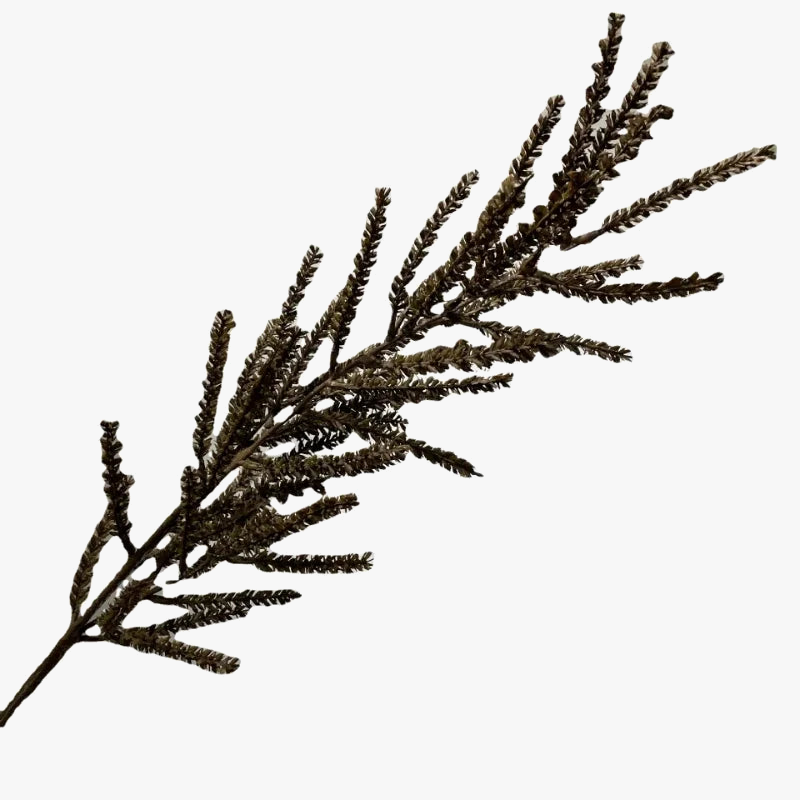 plante artificielle dherbe de blé décoration naturelle pour intérieur