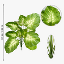 plante-monstera-r-aliste-pour-d-coration-int-rieure-moderne-6.png