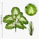 plante-monstera-r-aliste-pour-d-coration-int-rieure-moderne-7.png