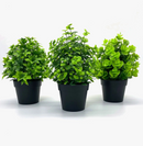 plantes-artificielles-en-pot-pour-d-coration-int-rieure-et-ext-rieure-0.png