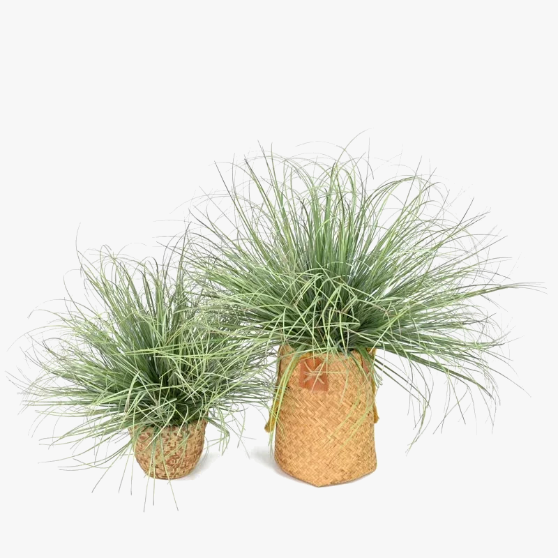 plantes artificielles en touffe pour décorations commerciales