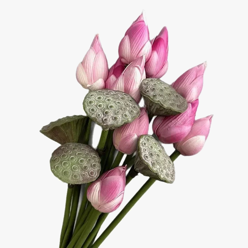 plantes-artificielles-lotus-touch-r-el-d-coration-florale-pour-int-rieur-1.png