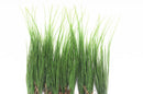 plantes-artificielles-pour-d-coration-int-rieure-et-jardin-2.png