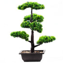 plantes-artificielles-r-alistes-pour-d-coration-int-rieure-et-cadeaux-0.png