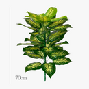 plantes-artificielles-tropicales-au-toucher-r-aliste-pour-d-coration-int-rieure-4.png