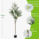 plantes-d-olivier-artificielles-pour-d-coration-int-rieure-et-ext-rieure-3.png