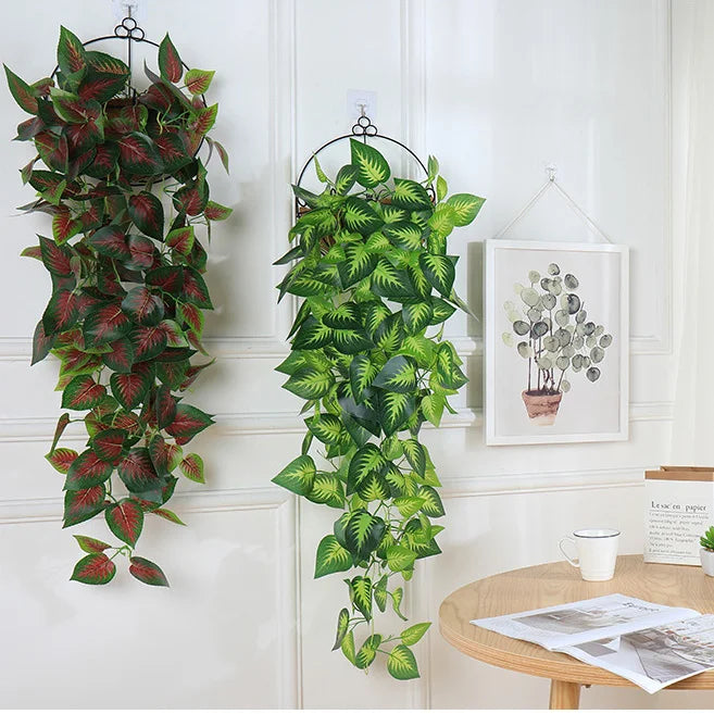 plantes suspendues décoratives pour jardin et mariage
