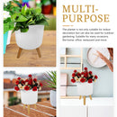 pot-de-fleurs-moderne-nordique-avec-pieds-en-bois-pour-plantes-et-d-coration-1.png