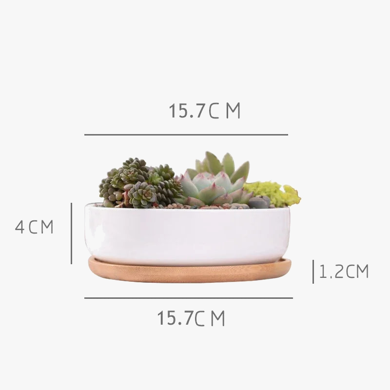 pot en céramique pour plantes succulentes avec plateau en bambou