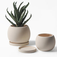 pots de fleurs en céramique moderne avec plateau décoratif pour plantes