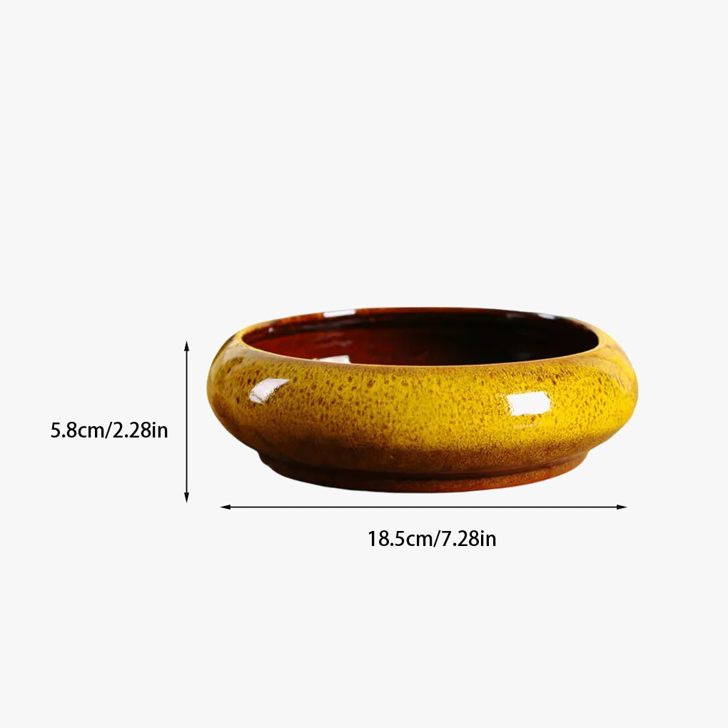 pots-hydroponiques-ronds-pour-plantes-succulentes-jardin-int-rieur-5.png