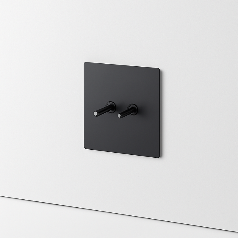 Prise électrique double en acier gris foncé brossé