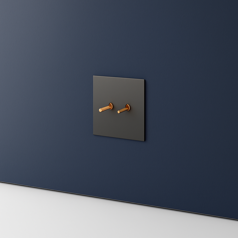 Prise électrique double (Europe) en acier gris brossé