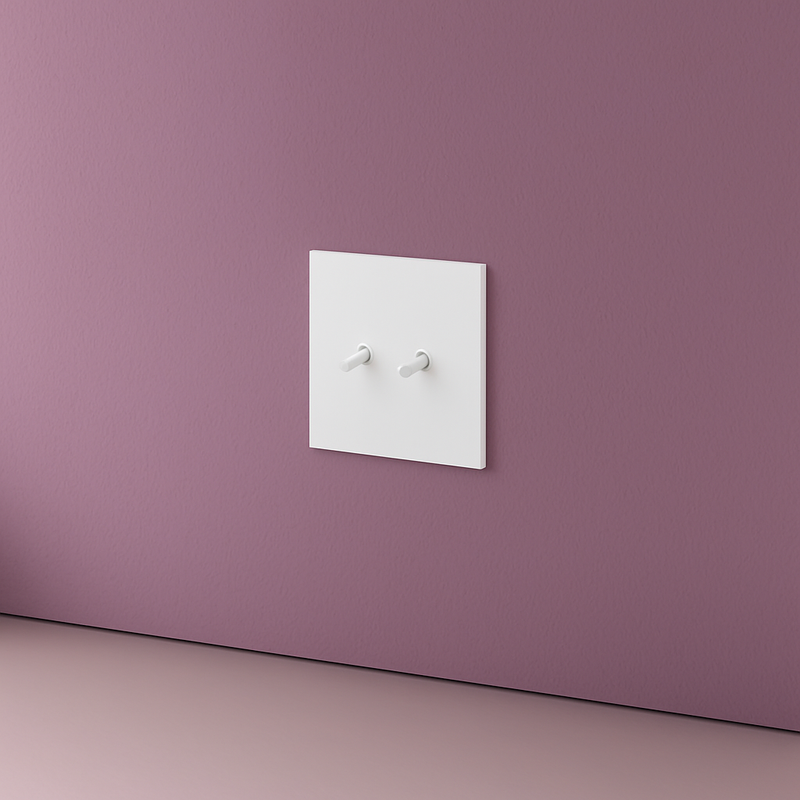 Prise électrique (Europe) en acier blanc mat