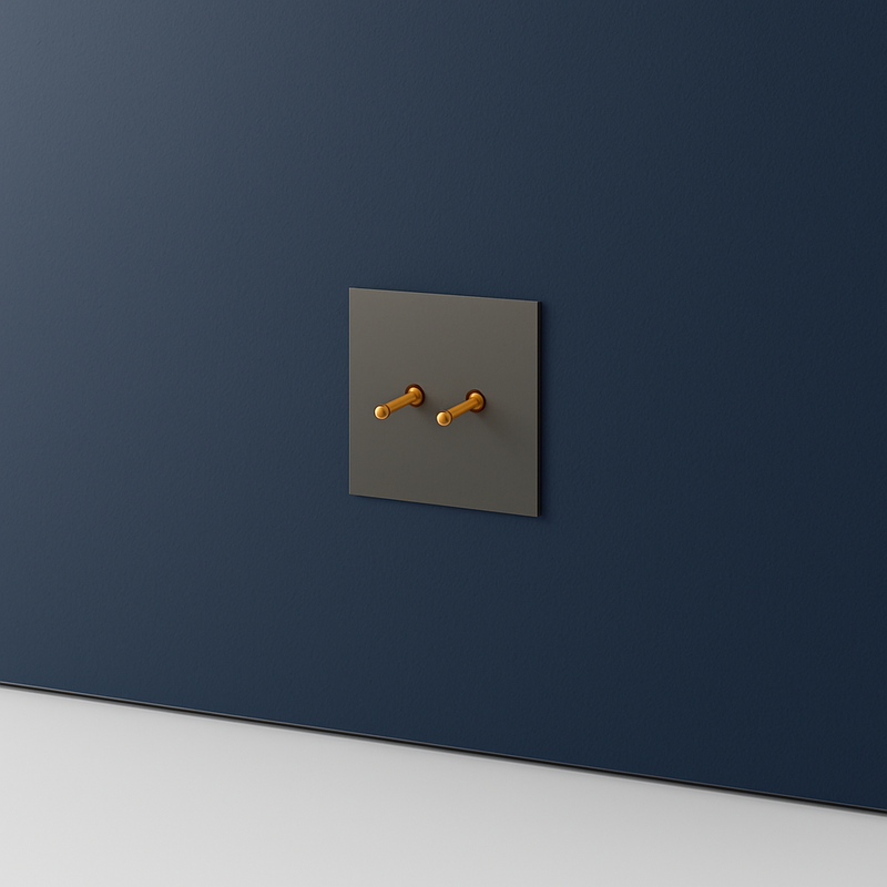 Prise TV et RJ45 en acier gris brossé