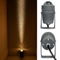projecteur led extérieur avec angle de lampe étroit pour éclairage puissant