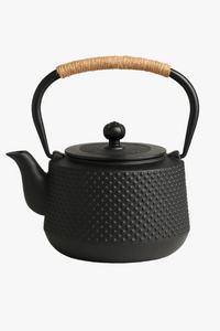 Japanese cast iron tea set with infuser