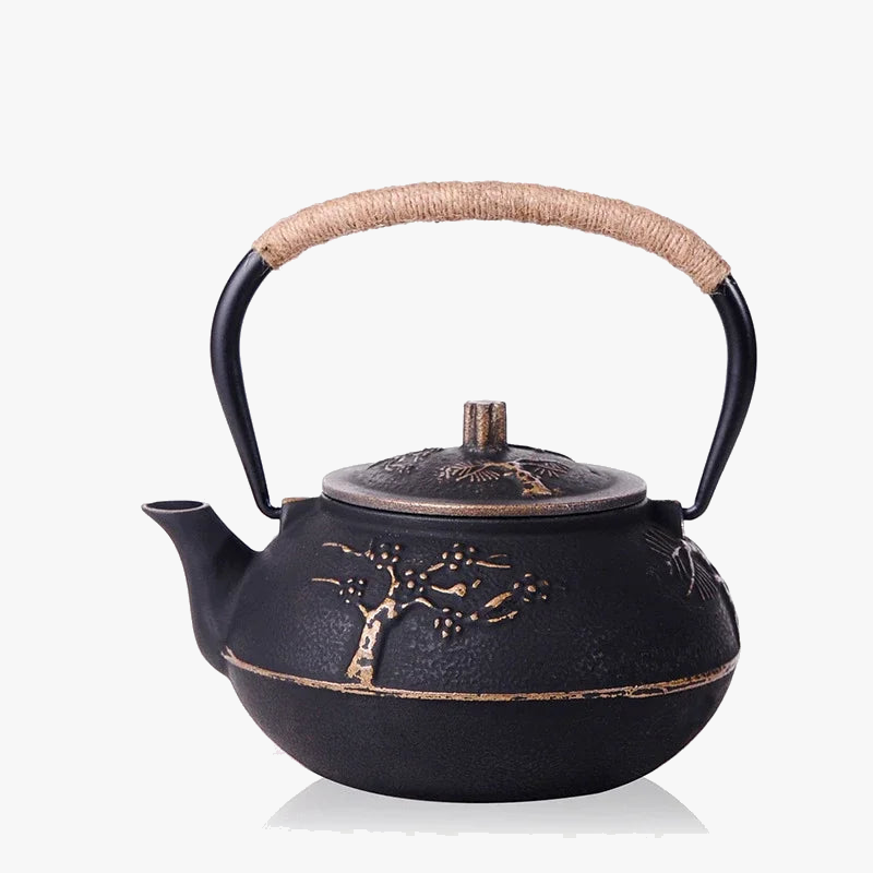 Service théière japonaise fonte émaillée infuseur 800ml