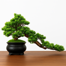 simulation arbre bonsaï pour décoration intérieure et aménagement extérieur