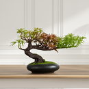simulation arbre bonsaï pour décoration intérieure et aménagement extérieur