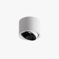 Ultra-bright adjustable angle COB LED spotlight for indoor lighting