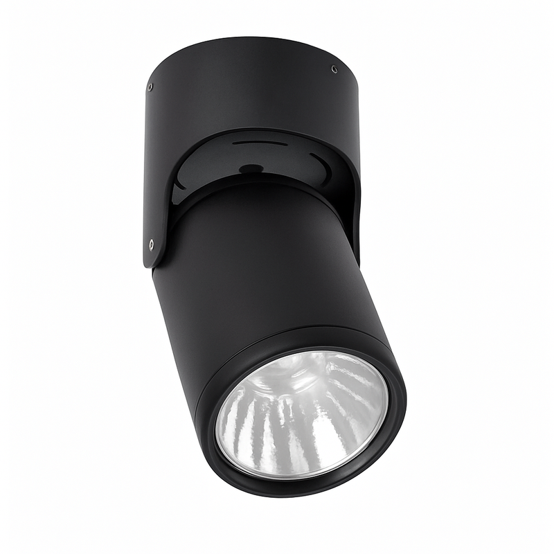 Spot LED directionnel (noir ou blanc)