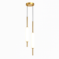 Minimalist Nordic style double head pendant light