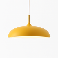 Suspension en aluminium de couleur et tige en bois Wood