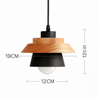 Coloured metal and wood pendant light in various Nordic shapes