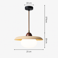 Japanese travertine pendant light