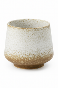 Tasse thé japonaise raku artisanale style kung fu