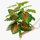 tortue-tropicale-artificielle-avec-branches-et-feuilles-d-coratives-7.png