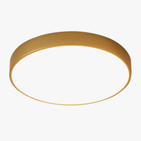 Ultra-mince 5 cm Or LED Plafonnier Moderne Rond Montage En Surface Plafonnier Panneau Lampe Télécommande Lumière Pour Foyer Chambre