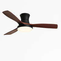 Lightweight American ceiling fan with light and electric control