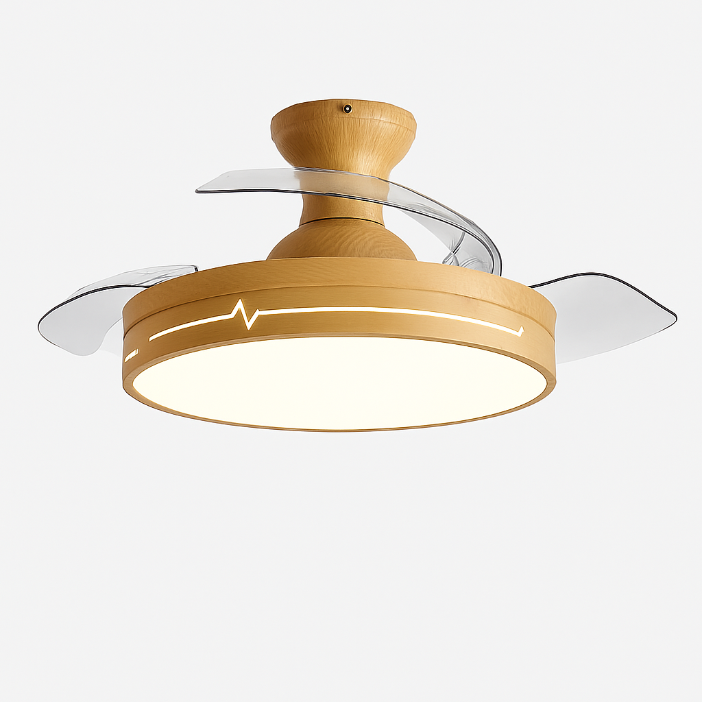 Ceiling fan with light and quiet control