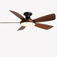 Modern low ceiling fan with LED light and DC remote control