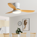 Modern ceiling fan with designer light for indoor use