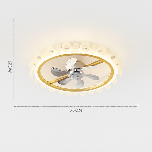 Modern ceiling fan with light and smart control