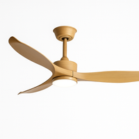 Modern ceiling fan with LED light and remote control